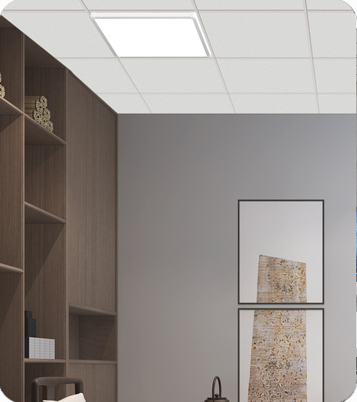 新利体育luck18·(中国)官方网站