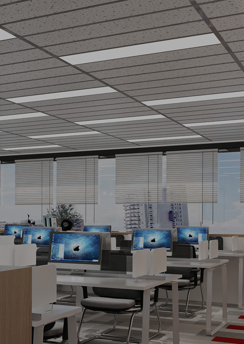 新利体育luck18·(中国)官方网站