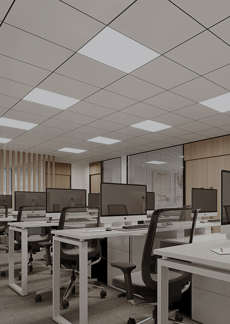 新利体育luck18·(中国)官方网站