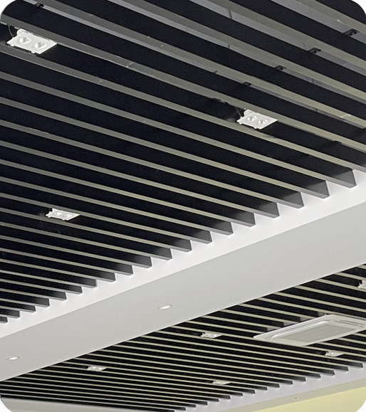 新利体育luck18·(中国)官方网站