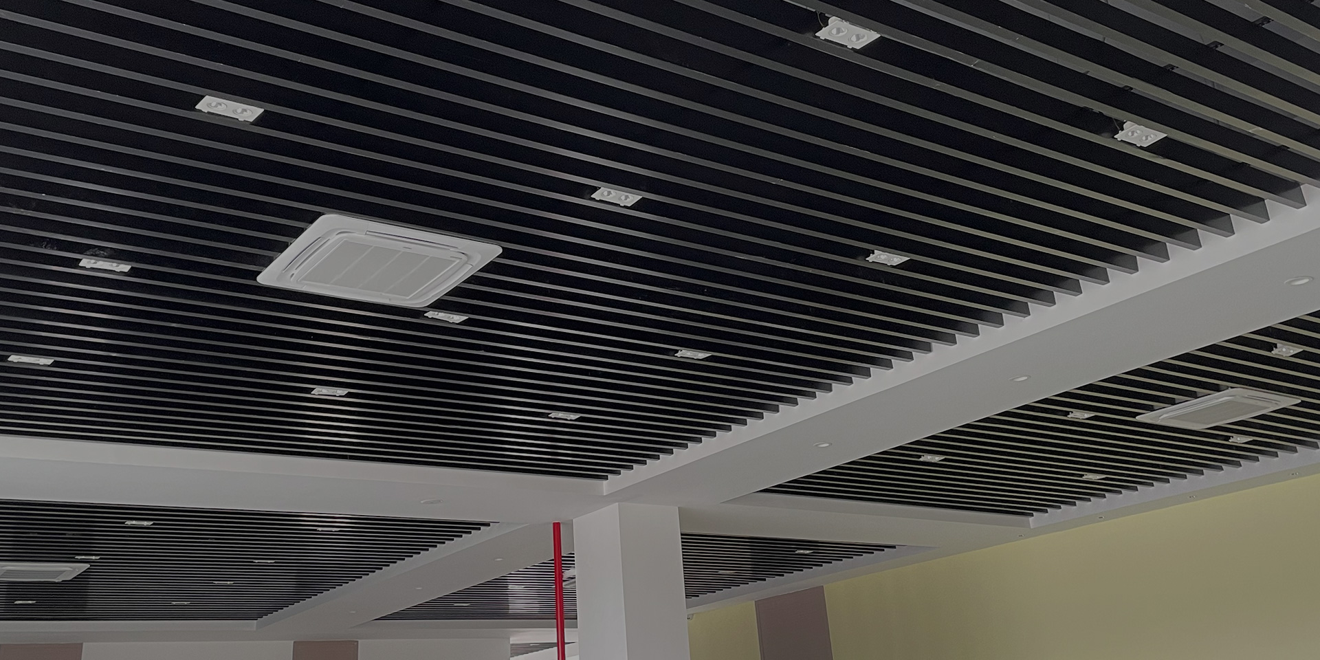 新利体育luck18·(中国)官方网站